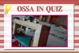 LOGO OSSA IN QUIZ