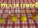 LOGO PILA DI LIMONI