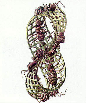 nastro di moebius con formiche